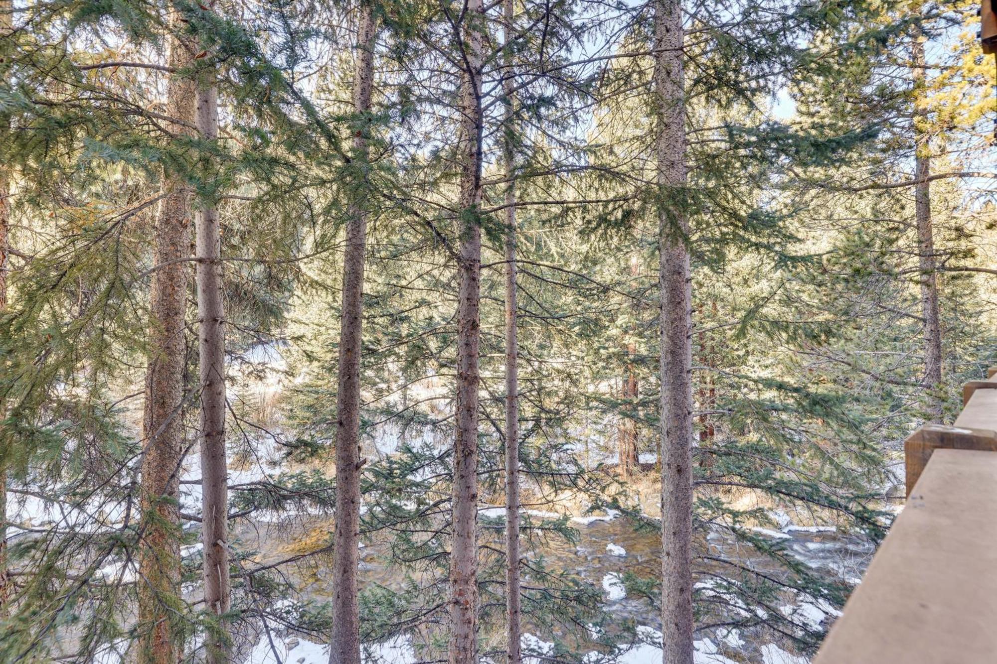 Snowdogs Breck Condo With Fireplace Walk To Lifts Breckenridge Ngoại thất bức ảnh